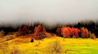 Autunno